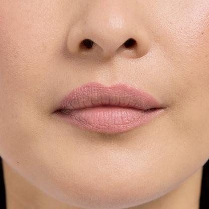 Lip Frame