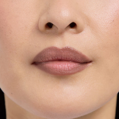 Lip Frame